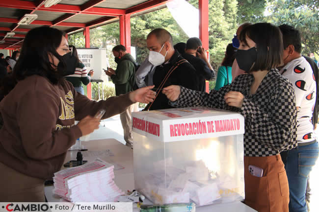 consulta revocacion mandato puebla votacion