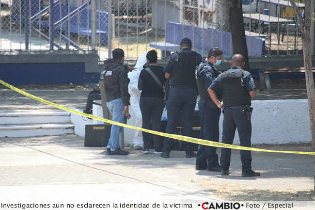 desmembrado hallazgo investigaciones