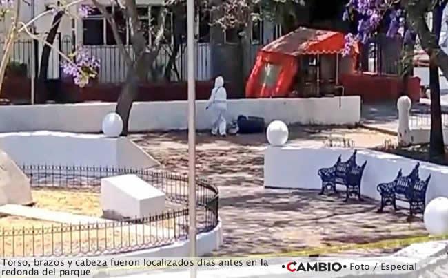 desmembrado hallazgo parque ninfas