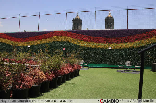 roof garden lx legislatura puebla pasto sintetico