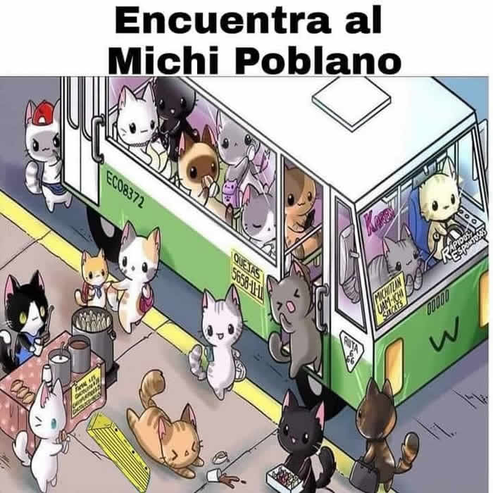 memes ciclovia puebla