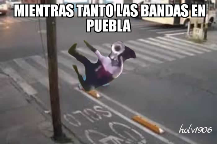 memes ciclovia puebla