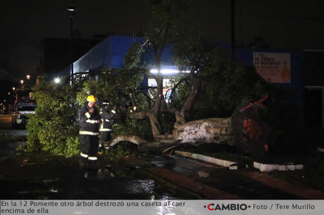 fuertes lluvias puebla capital arbol 12 poniente