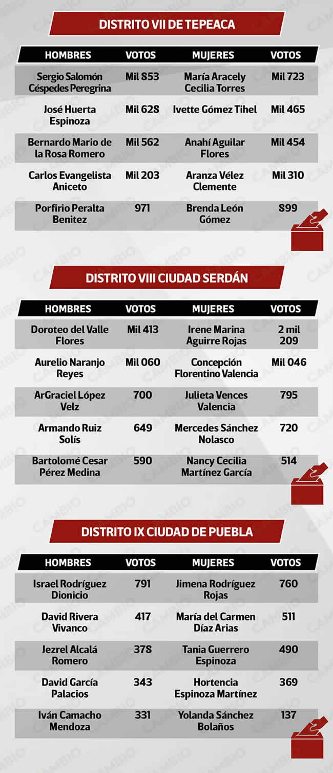 consejeros electos morena puebla distritos vii viii ix