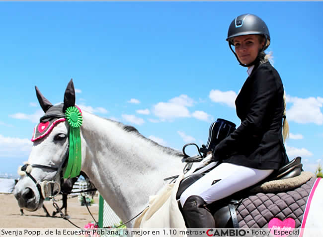 bole haras6