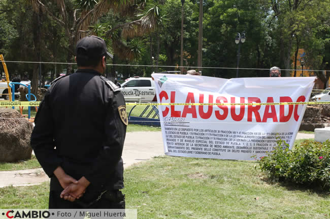 clausura tala palmeras analco