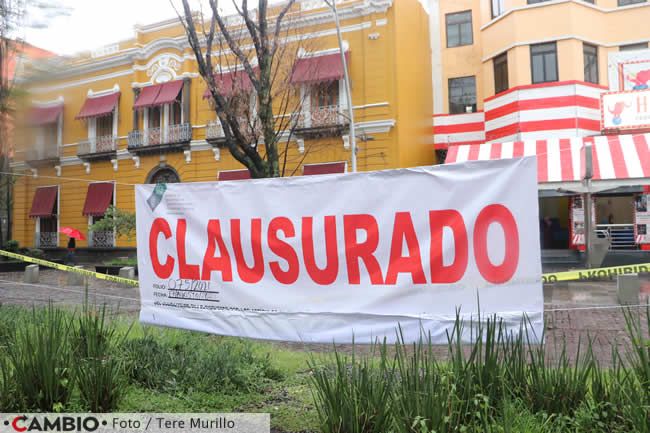 clausura tala palmeras avenida juarez
