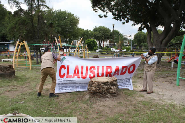 clausura tala palmeras parque analco