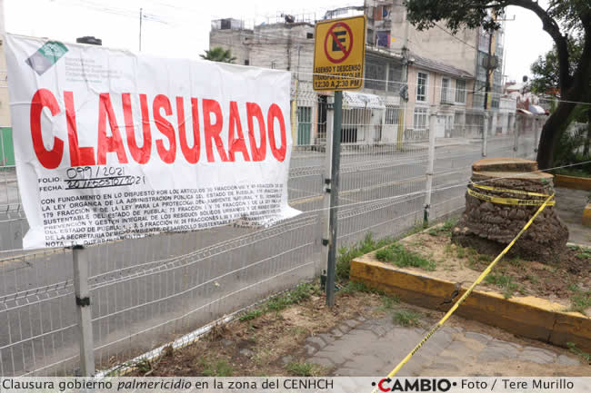 clausura palmericidio cenhch