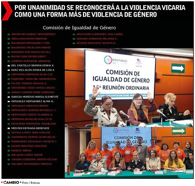 aprobacion reforma violencia vicaria