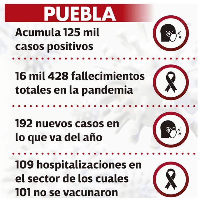 datos reporte estatal