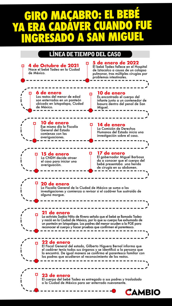 infografia linea de tiempo bebe tadeo