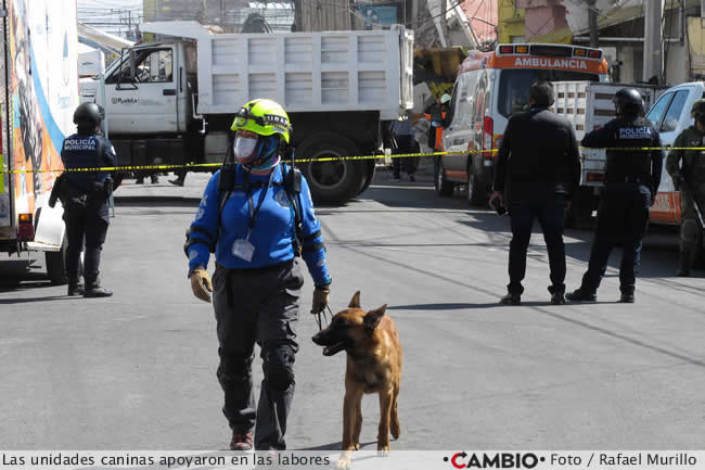 explosion edificio 2 pte diagonal defensores republica unidades caninas