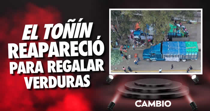 01 tonin reaparece