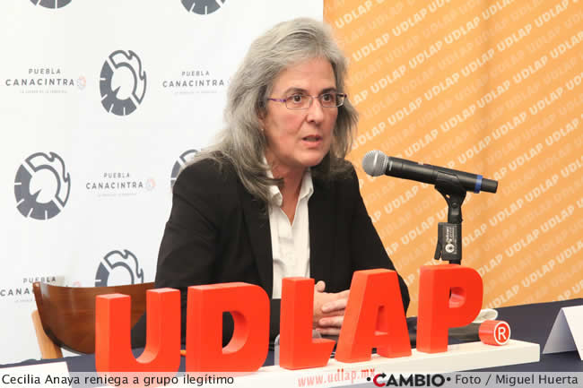 udlap cecilia anaya entrada