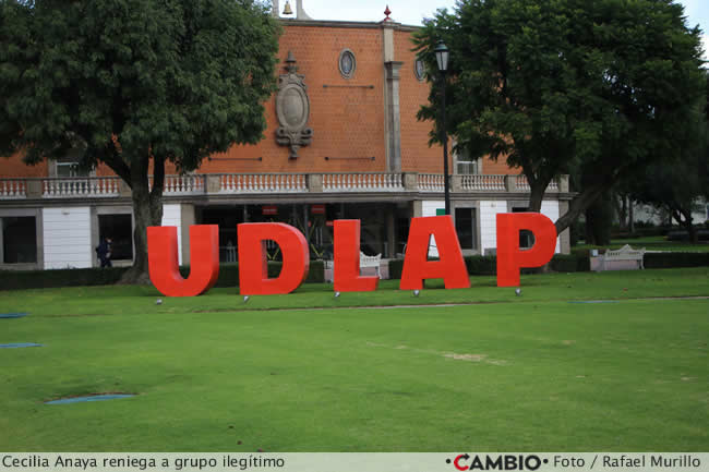 udlap cecilia anaya