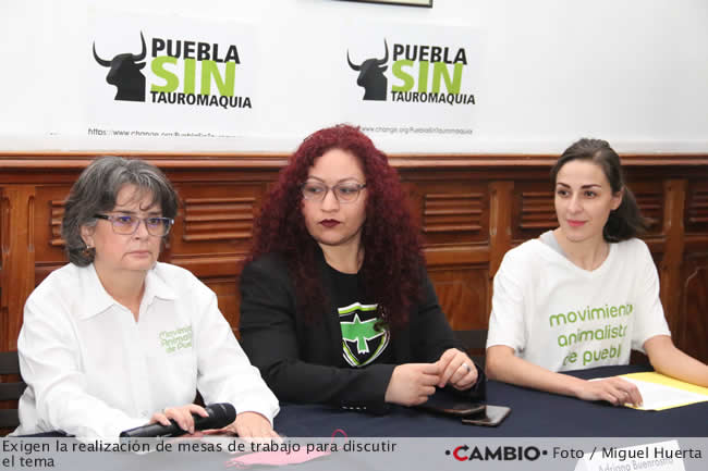 activistas piden mesas trabajo ley tauromaquia