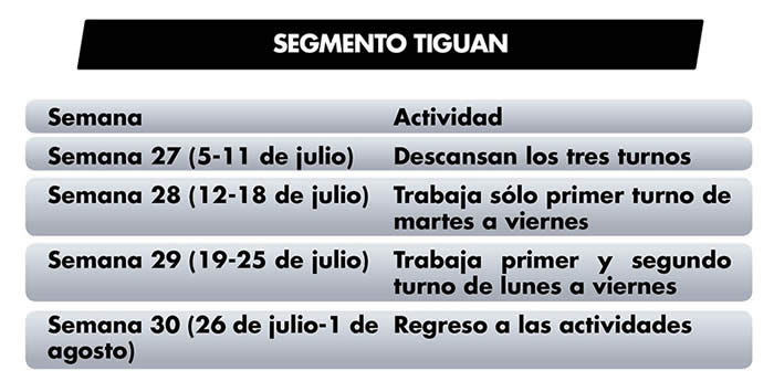 segmento tiguan