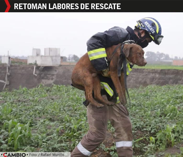 labores rescate spike