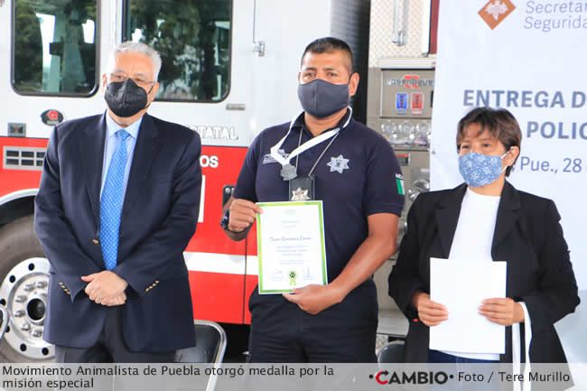 reconocimiento bomberos movimiento animalista