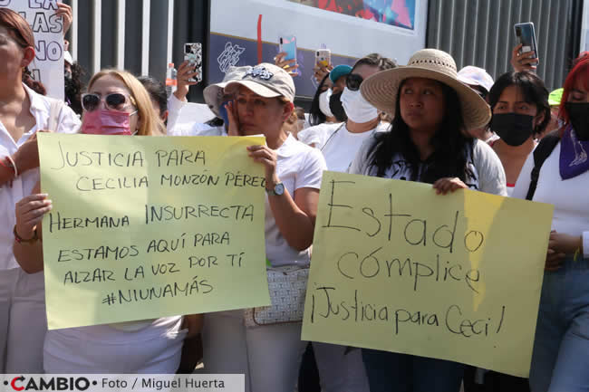 colectivos manifestacion ceiclia monzon pancartas