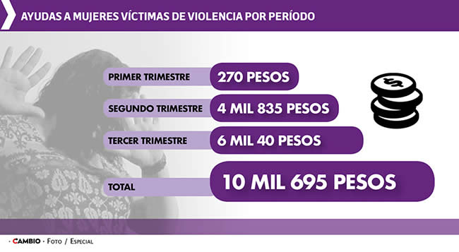 ayudas mujeres victimas violencia por periodo