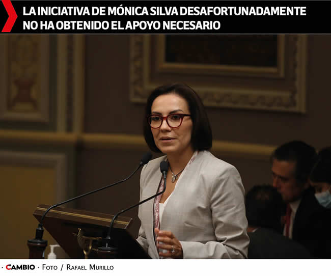 iniciativa aborto monica silva sin apoyo necesario