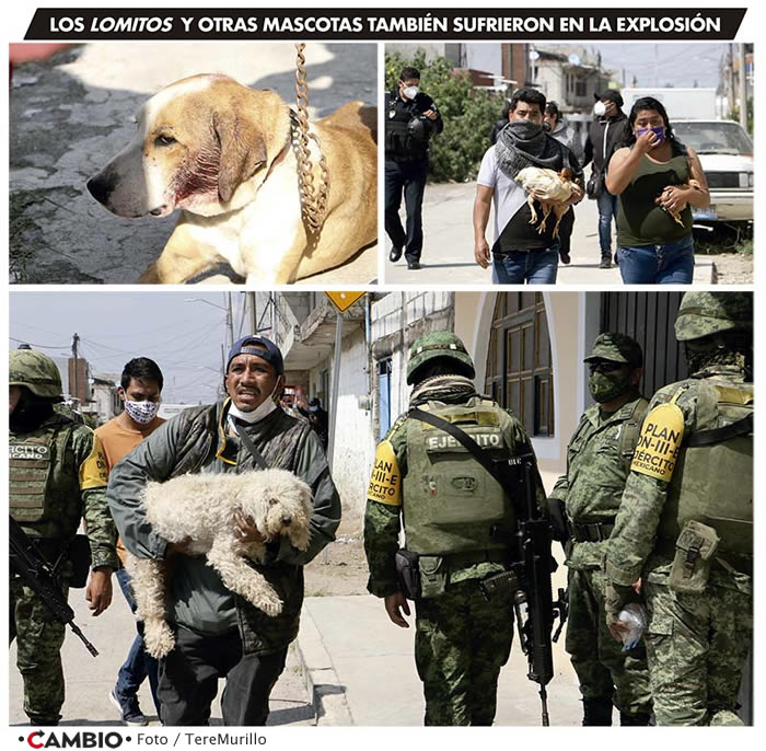 especial explosion xochimehuacan mascotas