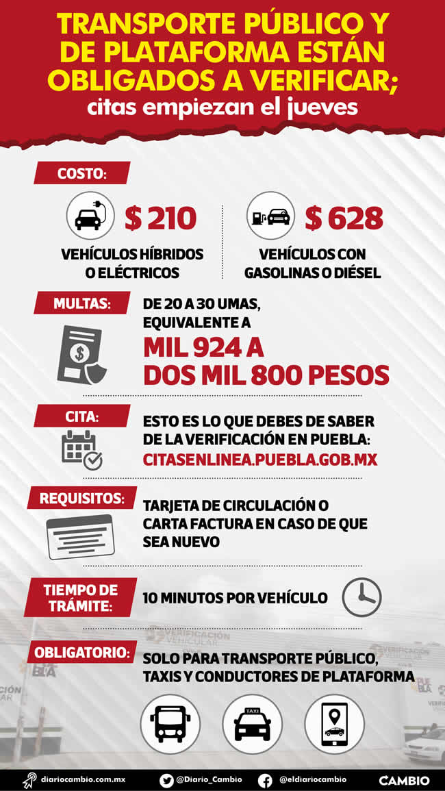 infografia verificacion transporte publico plataformas digitales