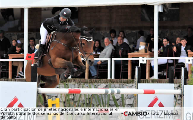 bole haras viva mexico 1
