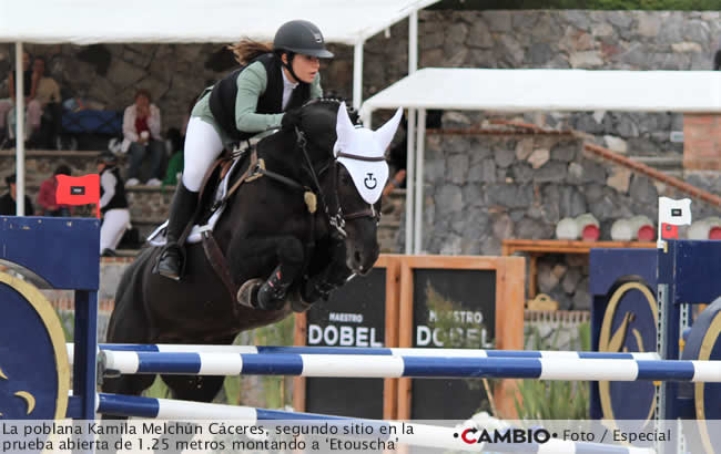 bole haras viva mexico 3