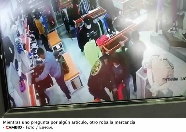 farderos roban mister tenis plaza dorada