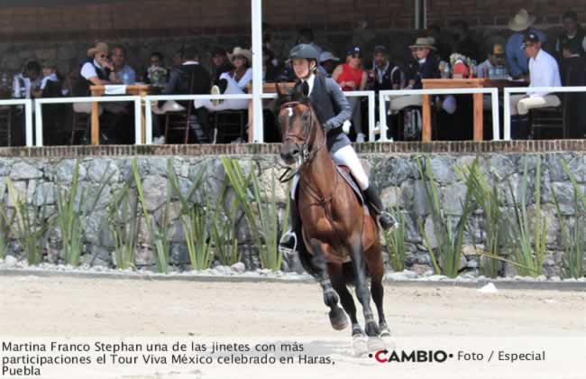 bole haras 6