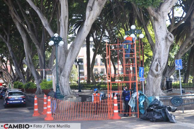 trabajos remodelacion zocalo marchas forzadas