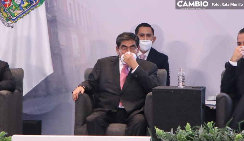 BARBU DUGUBU 2.jpg