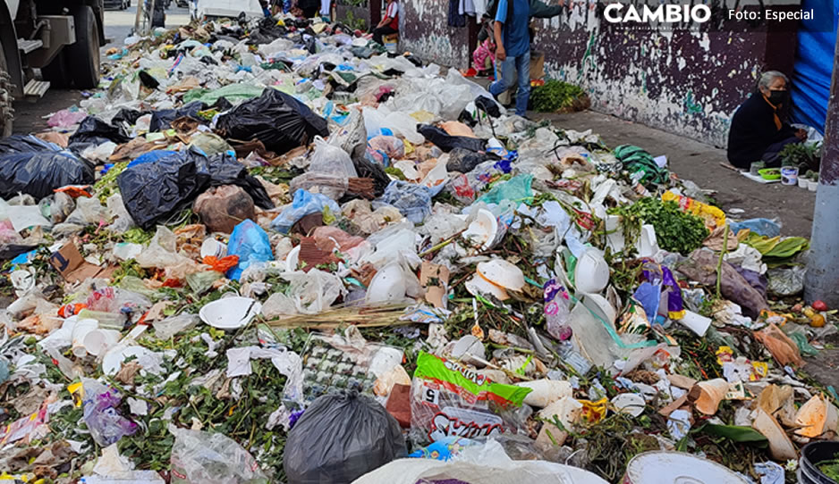 BASURA tehua 3.jpg