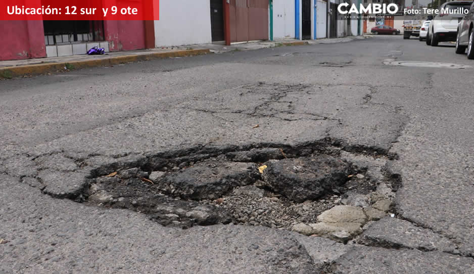 Bache  12 sur y 9.jpg