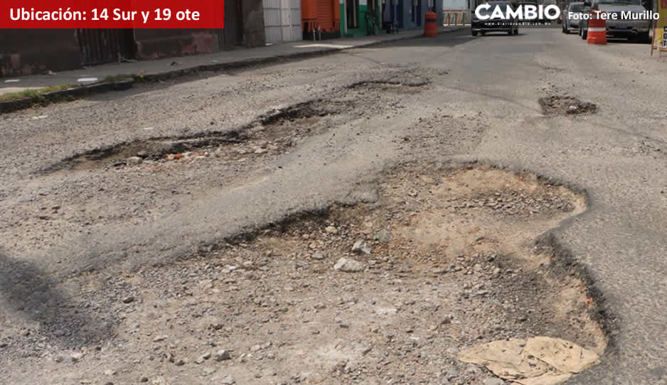 Bache  14 sur y .jpg