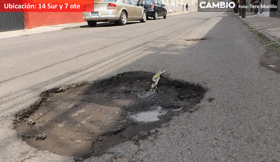 Bache  14 sur y 7.jpg
