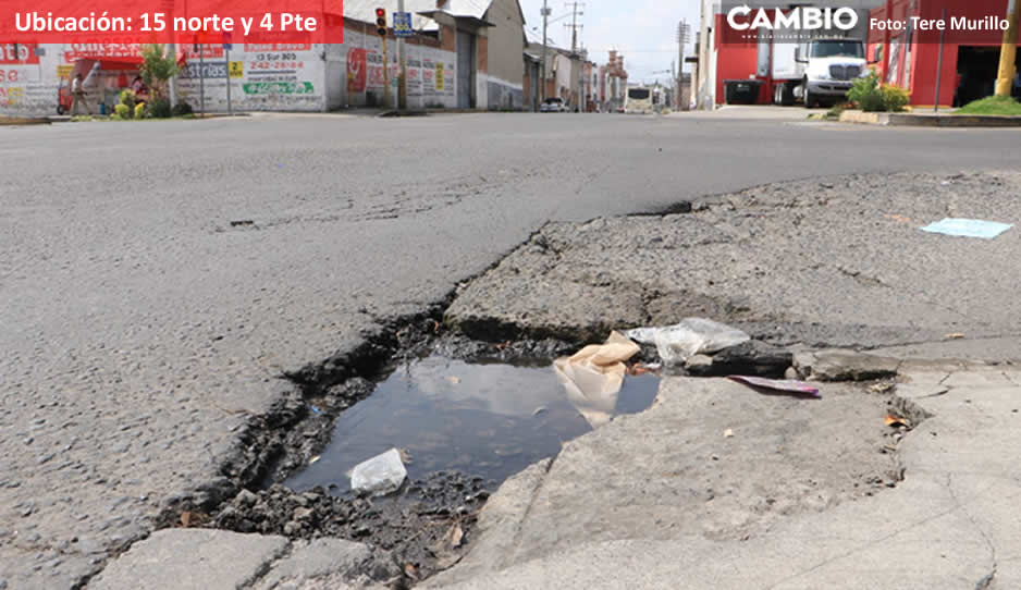 Bache 15 norte.jpg