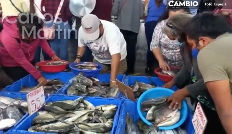 INTU FISHU.jpg