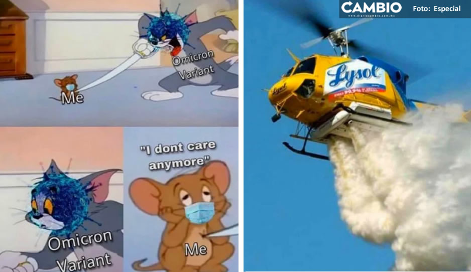 INT MEME 1.jpg