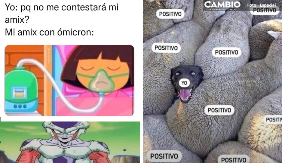 INT MEME 2.jpg