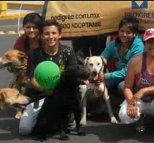 María Monserrat Zacatelco  rescatar perritos callejeros.jpg