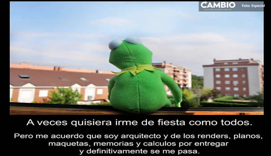 Meme Dia Arquitecto 18.jpg