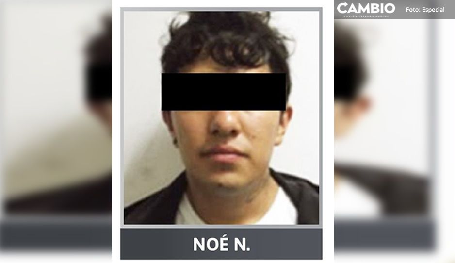 Noe.jpg