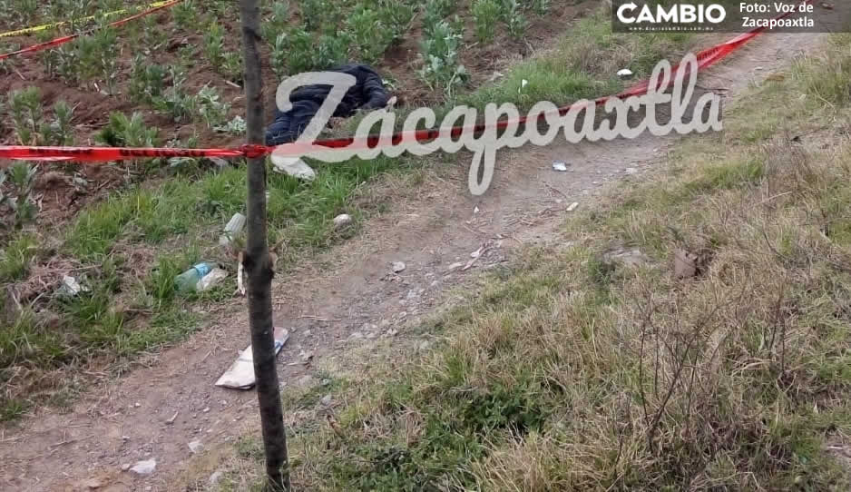 PORTA CHACAPOAX.jpg