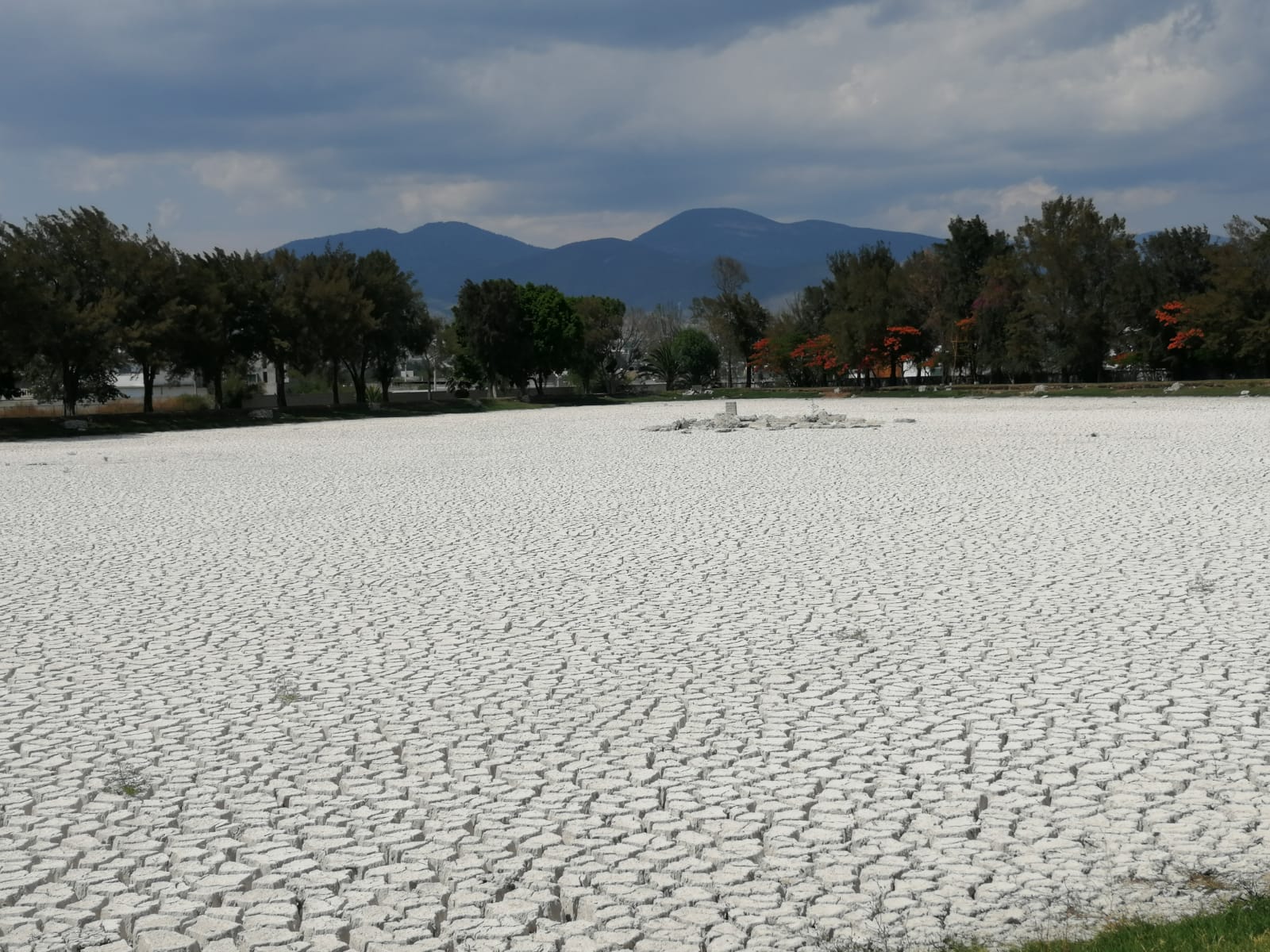 Parque Ventura Tehuacan.jpeg