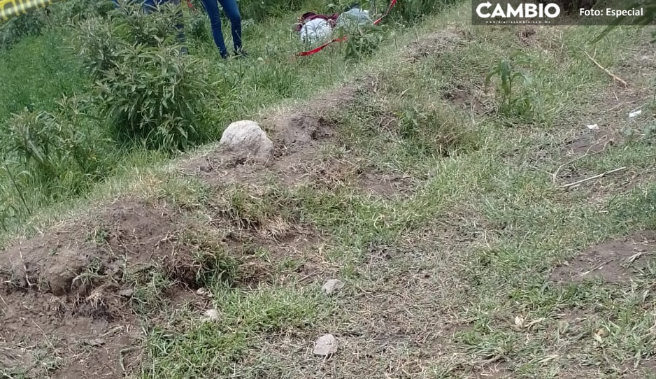 TECU CADAVU 2.jpg
