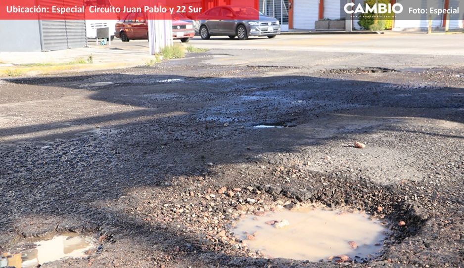 bache circuito.jpg